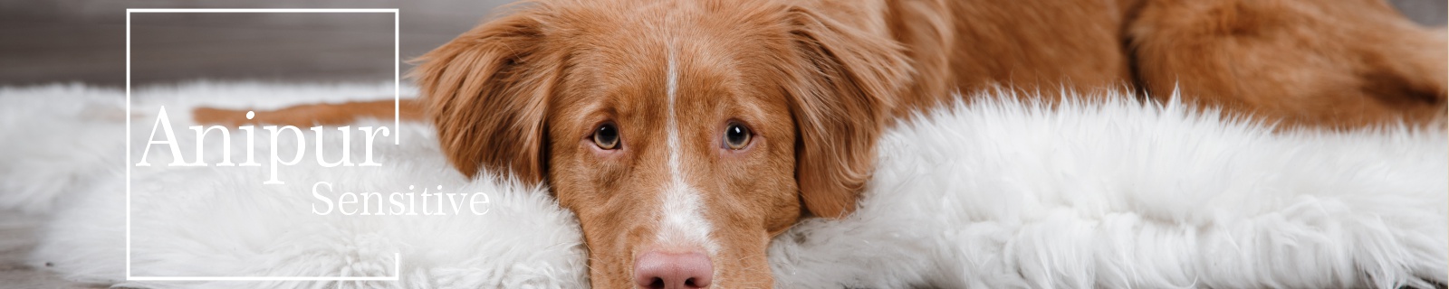 Sensitives Hundefutter für empfindliche Hunde Anipur