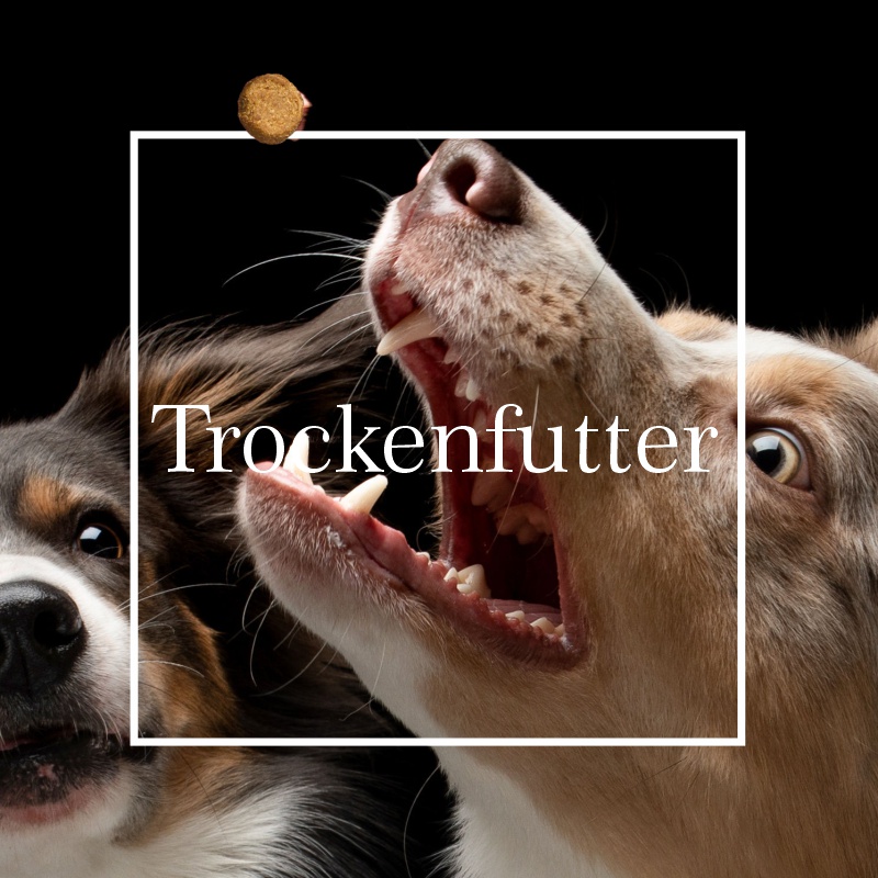 Trockenfutter