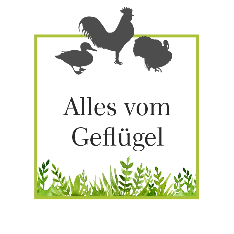 Hochwertiges Hundefutter und Kauartikel vom Geflügel